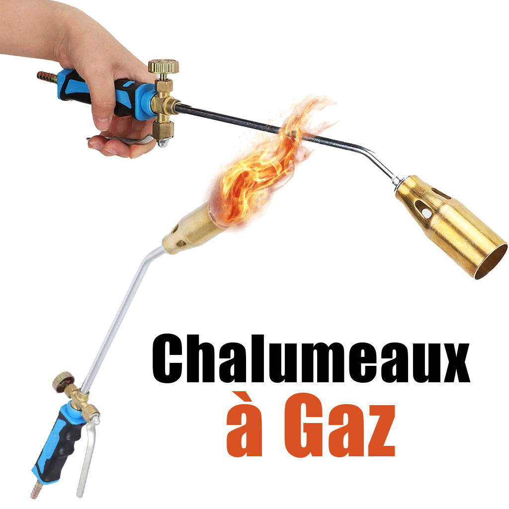 Chalumeau à Gaz par Allumage Pistolet Double Interrupteur 2