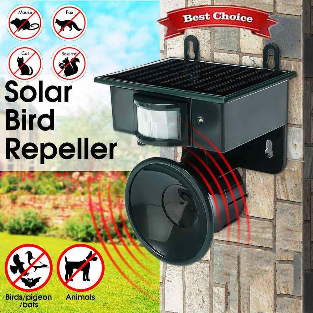 Répulsif solaire sonique pour animaux et oiseaux avec détecteur de mouvement - جهاز طارد للحيونات والطيور 1
