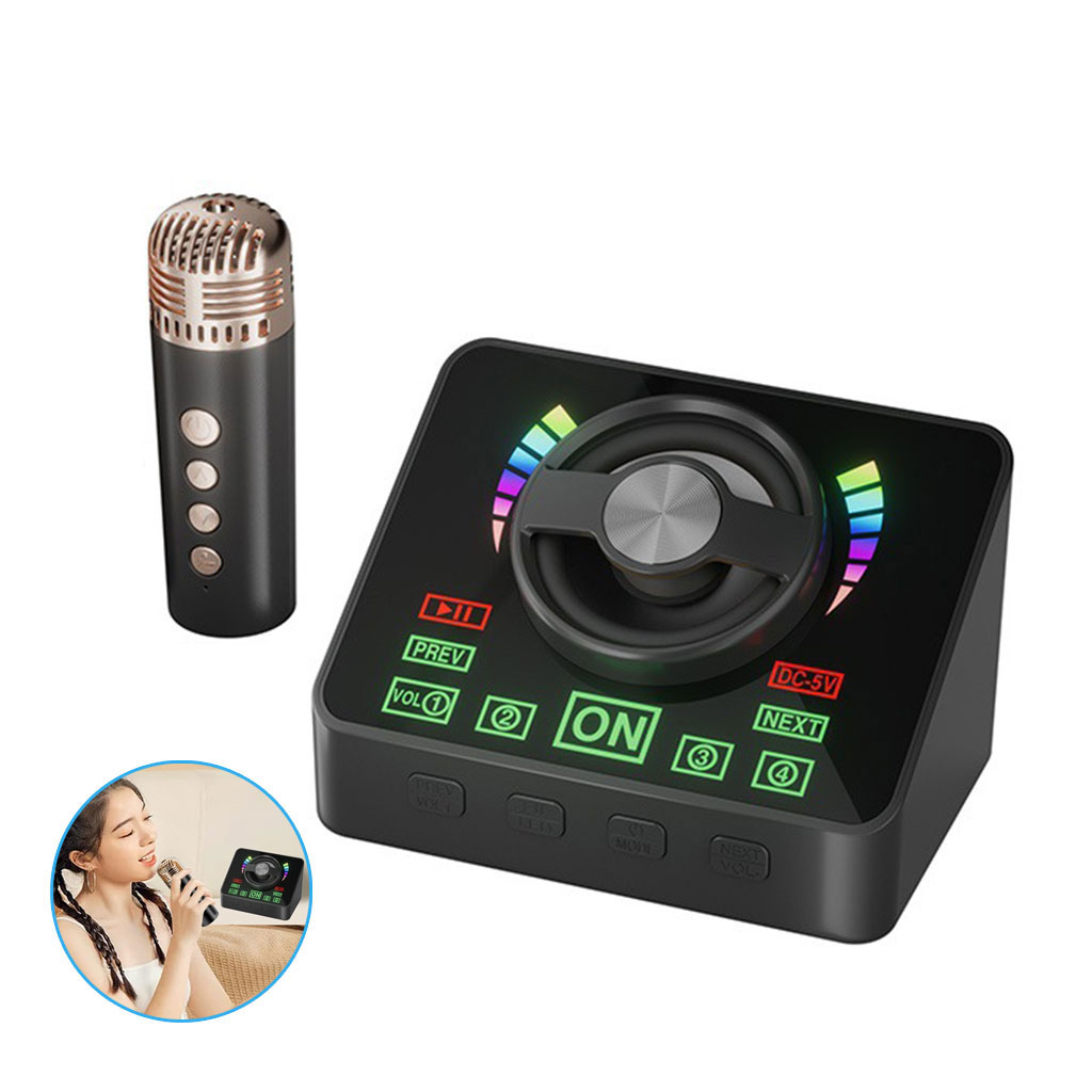 Machine de karaoké Mini microphone et haut-parleur KTV 1