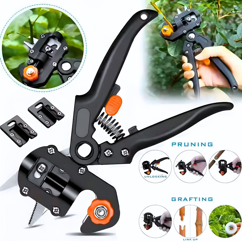 Sécateur de greffage pour jardins 4PCs BEETRO | TC0504 - مقص تطعيم و تقليم النبات 2